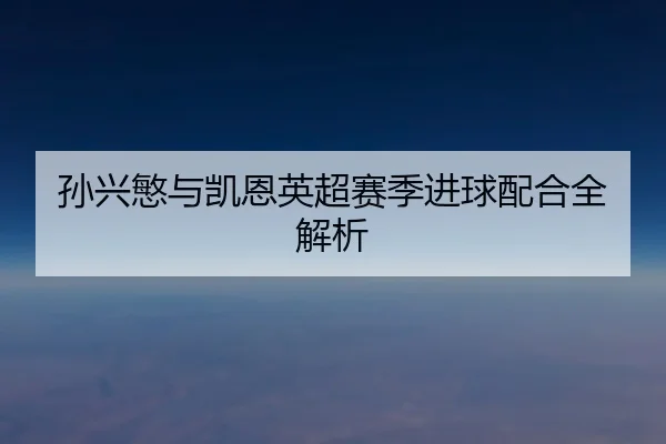 孙兴慜与凯恩英超赛季进球配合全解析